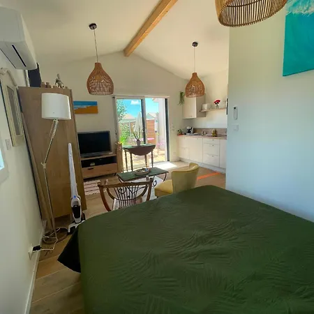 Cosy Entre Ocean Et Nature Holiday home Saint-Paul-en-Born